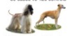 thumbnail image from paper