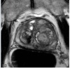 thumbnail image from paper