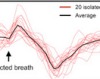 thumbnail image from paper