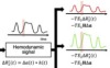 thumbnail image from paper