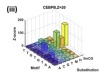 thumbnail image from paper