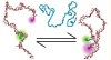 thumbnail image from paper