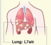 thumbnail image from paper