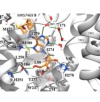thumbnail image from paper