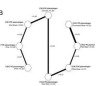 thumbnail image from paper