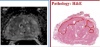 thumbnail image from paper