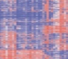 thumbnail image from paper