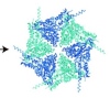 thumbnail image from paper