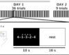 thumbnail image from paper