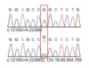 thumbnail image from paper