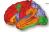 thumbnail image from paper