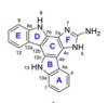 thumbnail image from paper