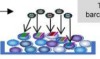 thumbnail image from paper