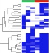 thumbnail image from paper