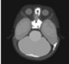 thumbnail image from paper