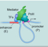 thumbnail image from paper