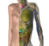 thumbnail image from paper