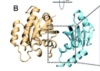 thumbnail image from paper