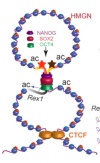 thumbnail image from paper