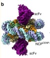 thumbnail image from paper