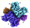 thumbnail image from paper