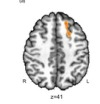 thumbnail image from paper