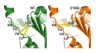thumbnail image from paper
