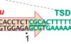 thumbnail image from paper