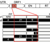 thumbnail image from paper