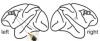 thumbnail image from paper