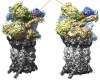 thumbnail image from paper