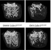 thumbnail image from paper