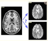 thumbnail image from paper