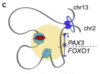 thumbnail image from paper