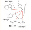 thumbnail image from paper
