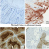 thumbnail image from paper