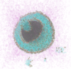 thumbnail image from paper