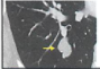 thumbnail image from paper
