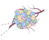 thumbnail image from paper