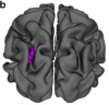 thumbnail image from paper