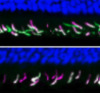 thumbnail image from paper