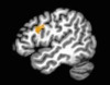 thumbnail image from paper