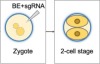 thumbnail image from paper