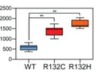 thumbnail image from paper