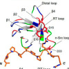 thumbnail image from paper