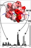 thumbnail image from paper