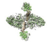 thumbnail image from paper
