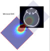 thumbnail image from paper