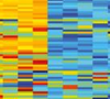 thumbnail image from paper