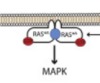 thumbnail image from paper
